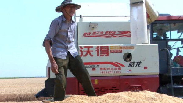 河南麥?zhǔn)招聢D景丨保證小麥顆粒歸倉，舞陽提供暖心服務(wù)