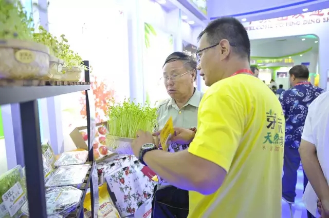 芽狀元亮相中國(guó)農(nóng)洽會(huì) 玩轉(zhuǎn)古法豆芽的創(chuàng)新表達(dá)