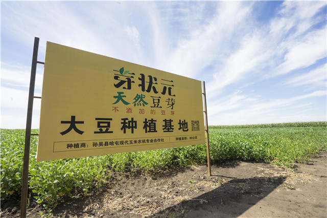 芽狀元天然豆芽李銀州：小豆芽的“中國(guó)夢(mèng)”