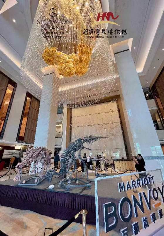 鄭州美盛喜來(lái)登酒店恐龍展